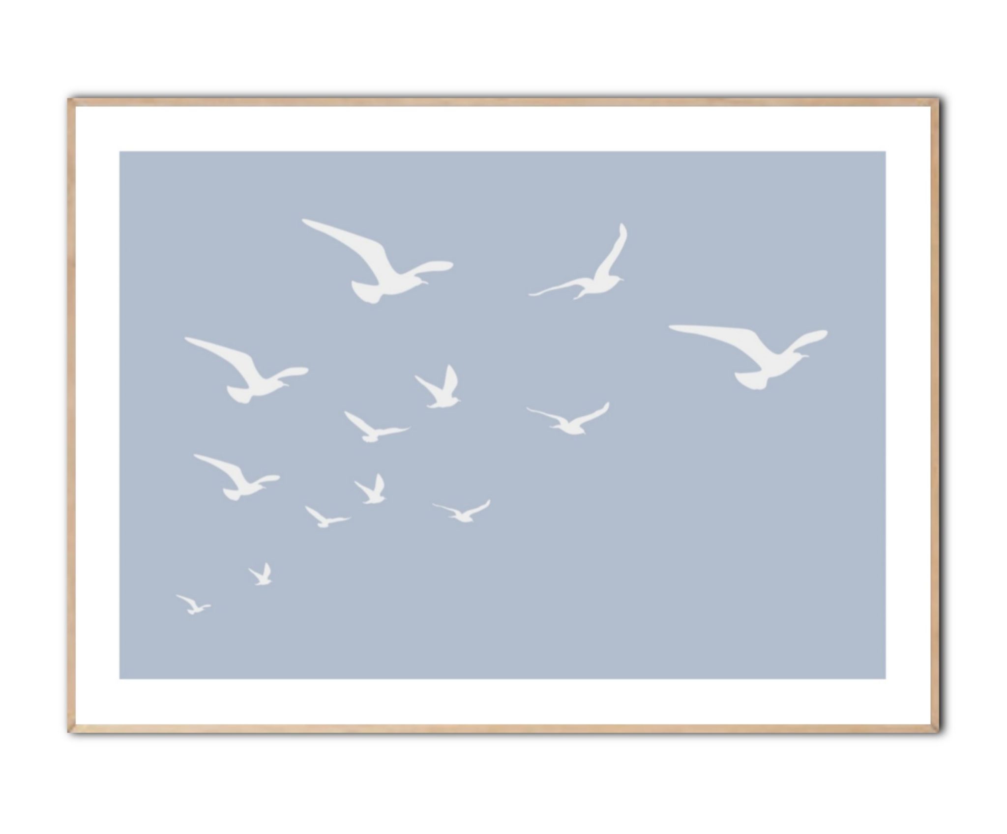 Seagulls plakat, Str. 50x70 cm