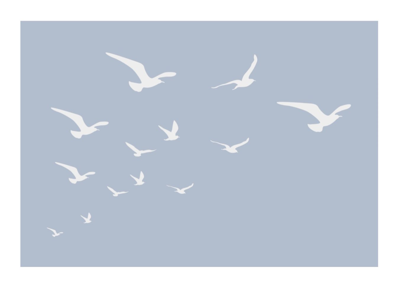 Seagulls plakat, Str. 50x70 cm - Billede 2