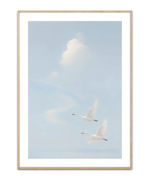 Carried by silence plakat