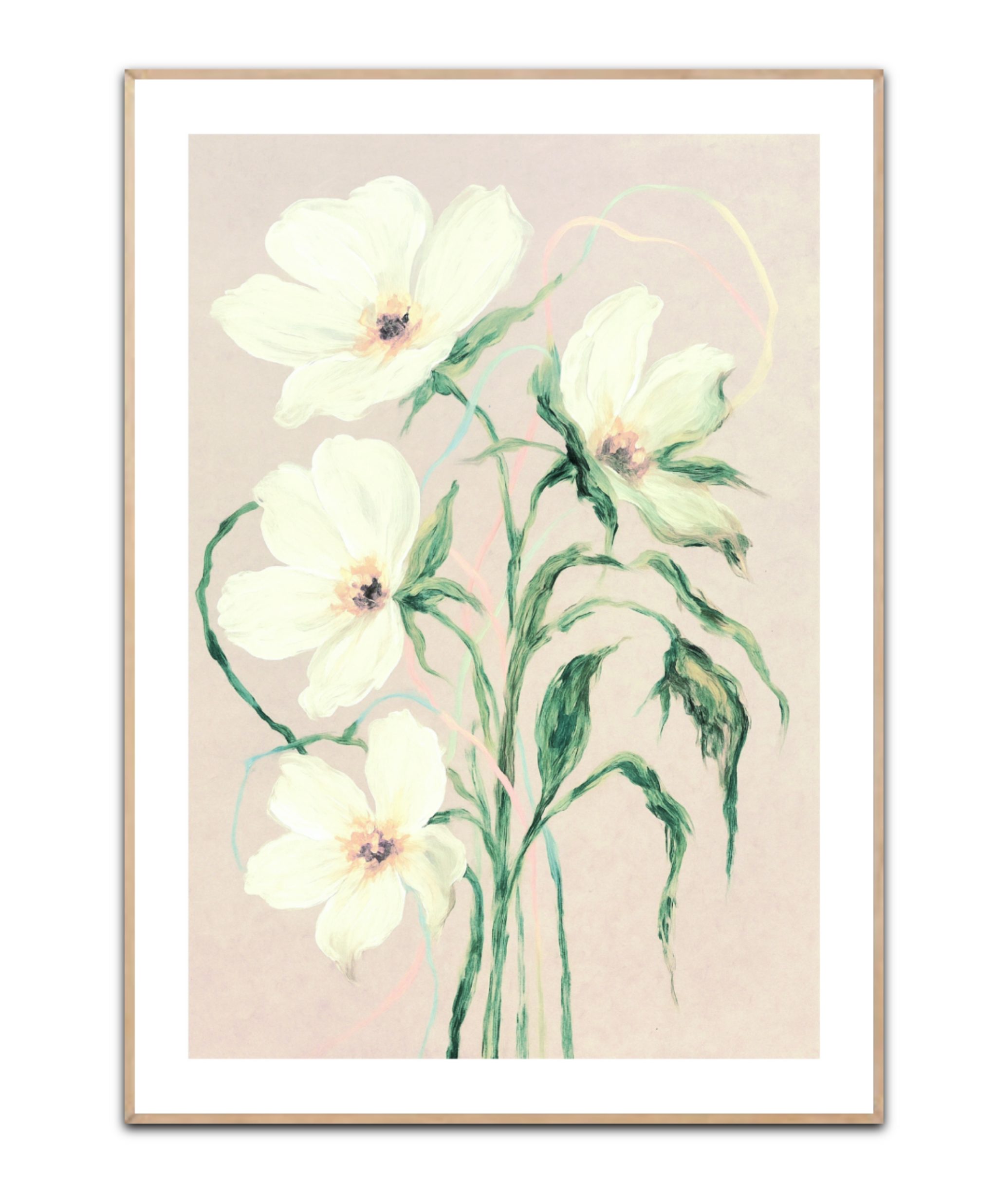 Ivory in Bloom plakat 50x70 cm
