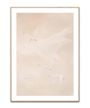 Breath of flight plakat 50x70 cm
