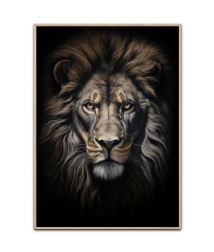 Majestic lion plakat 50x70 cm