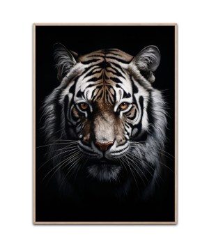 Majestic Tiger plakat 50x70 cm