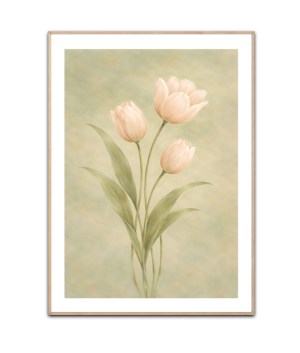 Soft rose flowers plakat