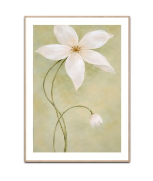 White calm flowers plakat