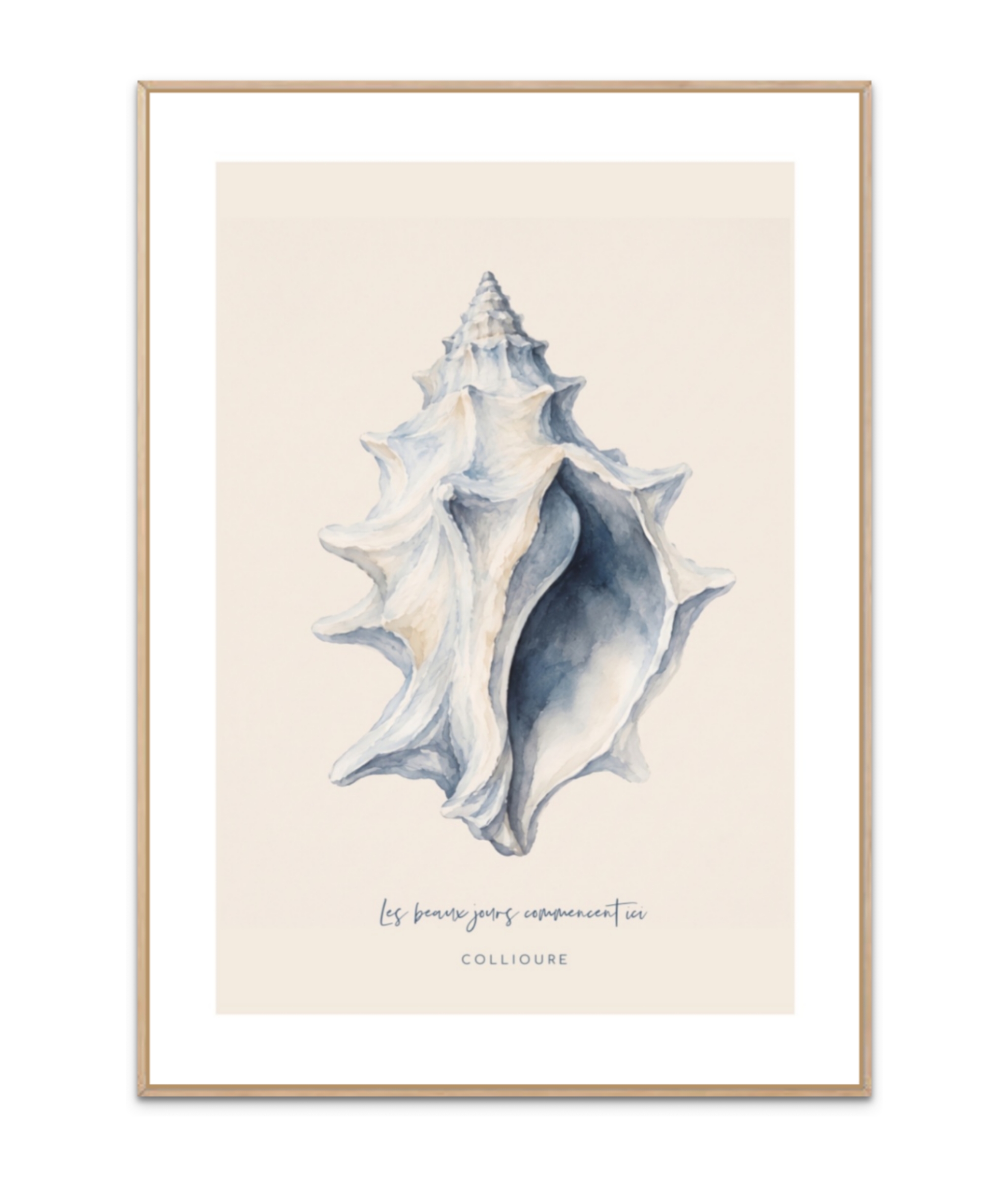 Collioure Seashell Plakat